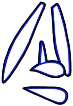 Image of the occurrence